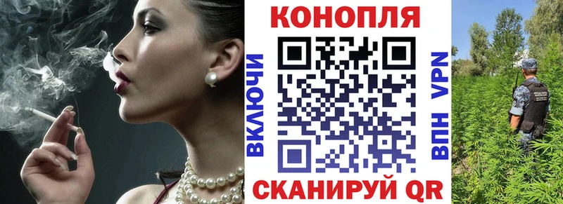 Каннабис OG Kush Касли